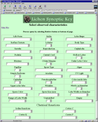 Synoptic Key